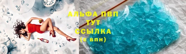 таблы Бородино