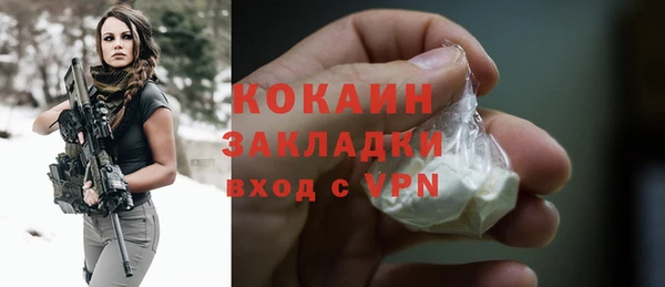 стаф Богородск