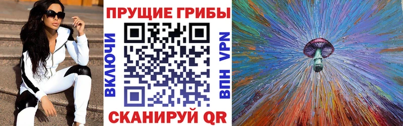 Псилоцибиновые грибы GOLDEN TEACHER Горячий Ключ